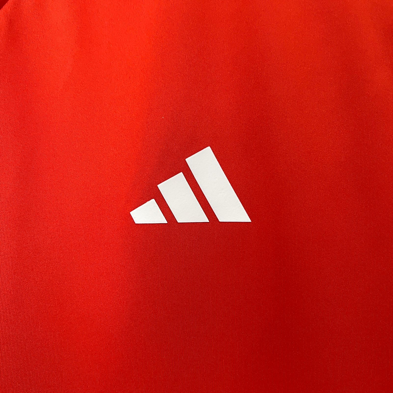Camisa Cruzeiro de treino 24/25 - Adidas Versão masculina