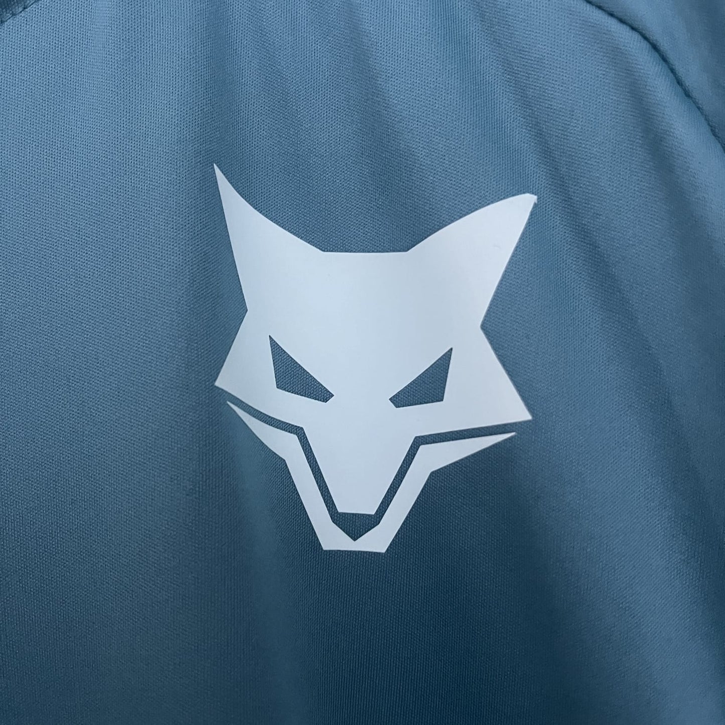 Camisa de treino escura CRUZEIRO 24/25