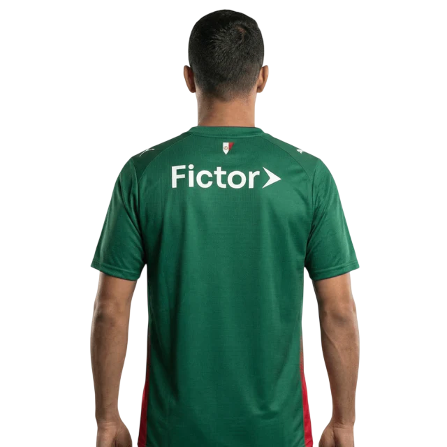 Camisa Puma Palmeiras 2026/27 I Torcedor Com Patrocínio
