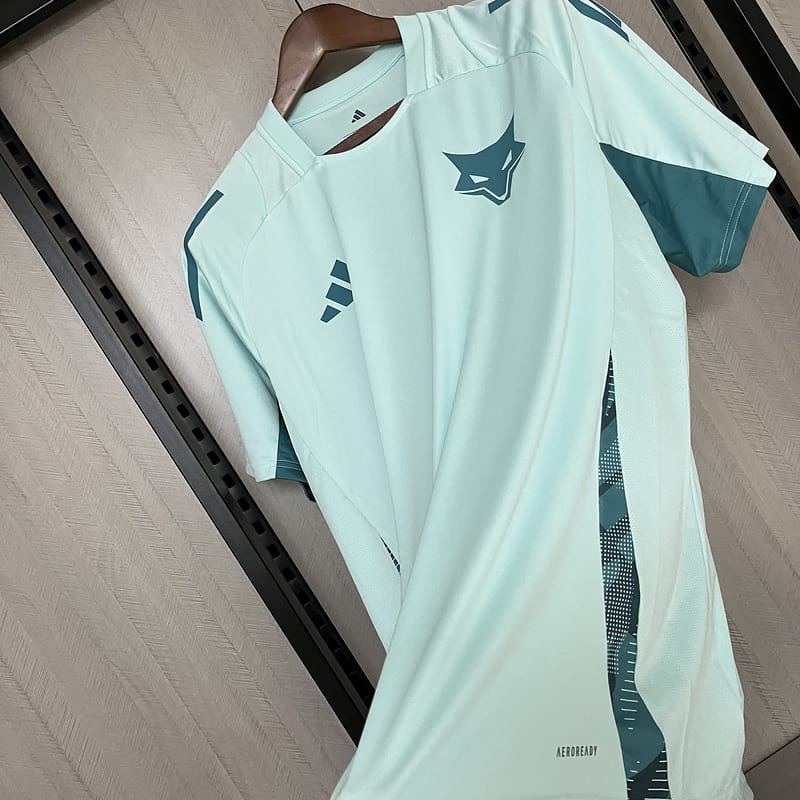 Camisa de treino CRUZEIRO 24/25