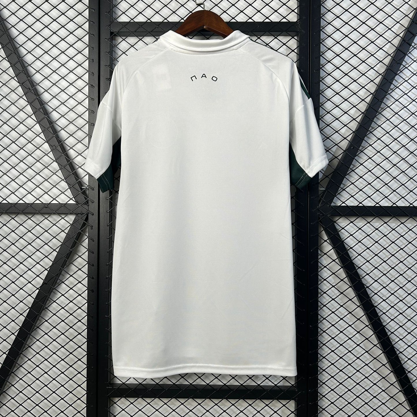 Panathinaikos away2025/26