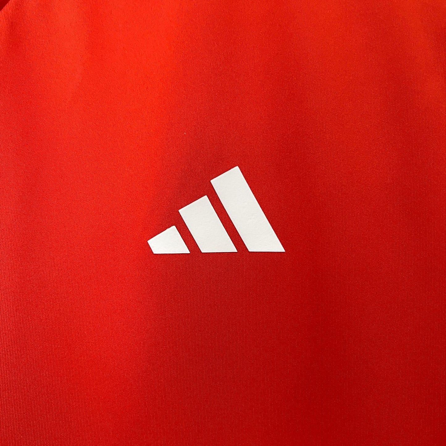 Camisa Cruzeiro de treino 24/25 - Adidas Versão masculina