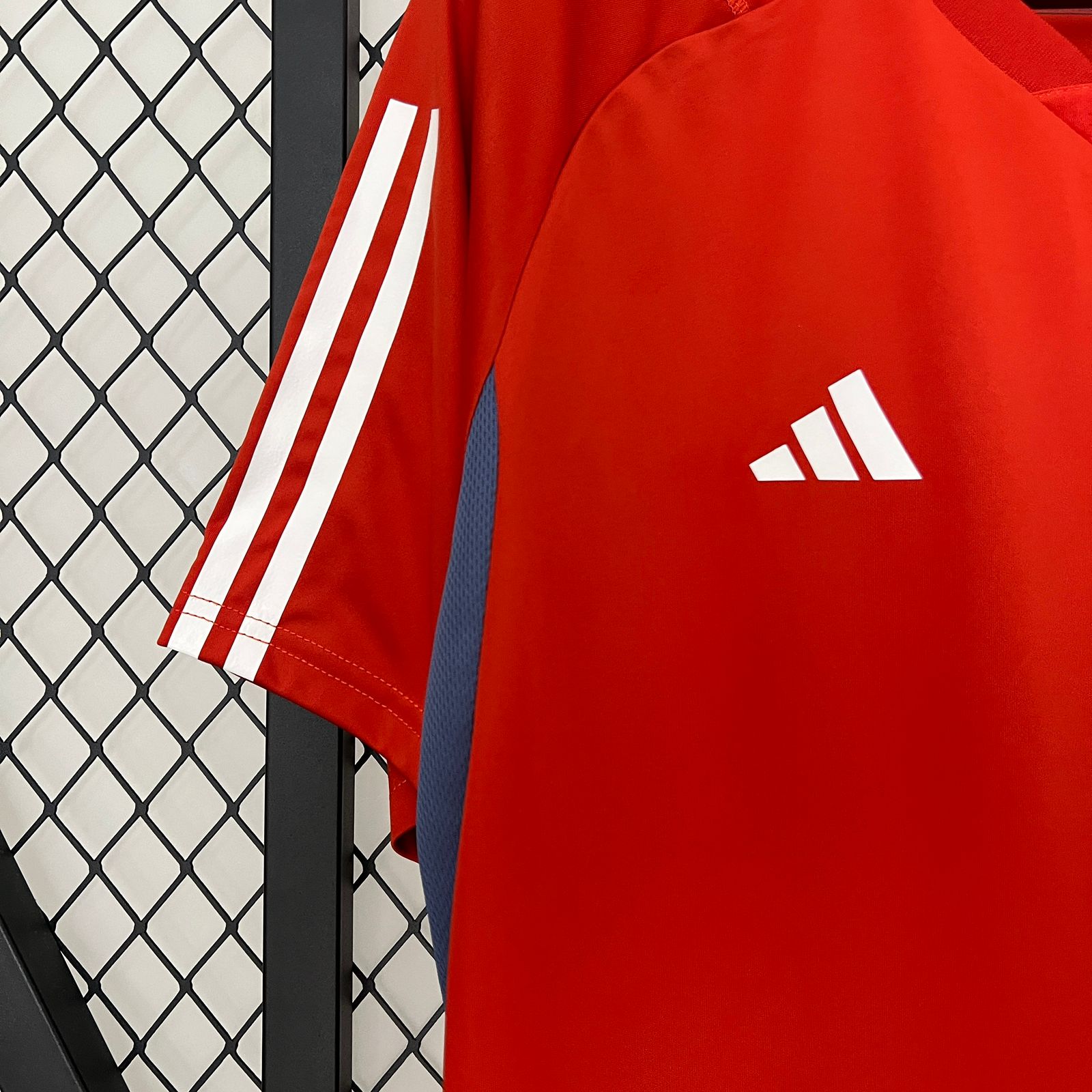 Camisa Cruzeiro de treino 24/25 - Adidas Versão masculina