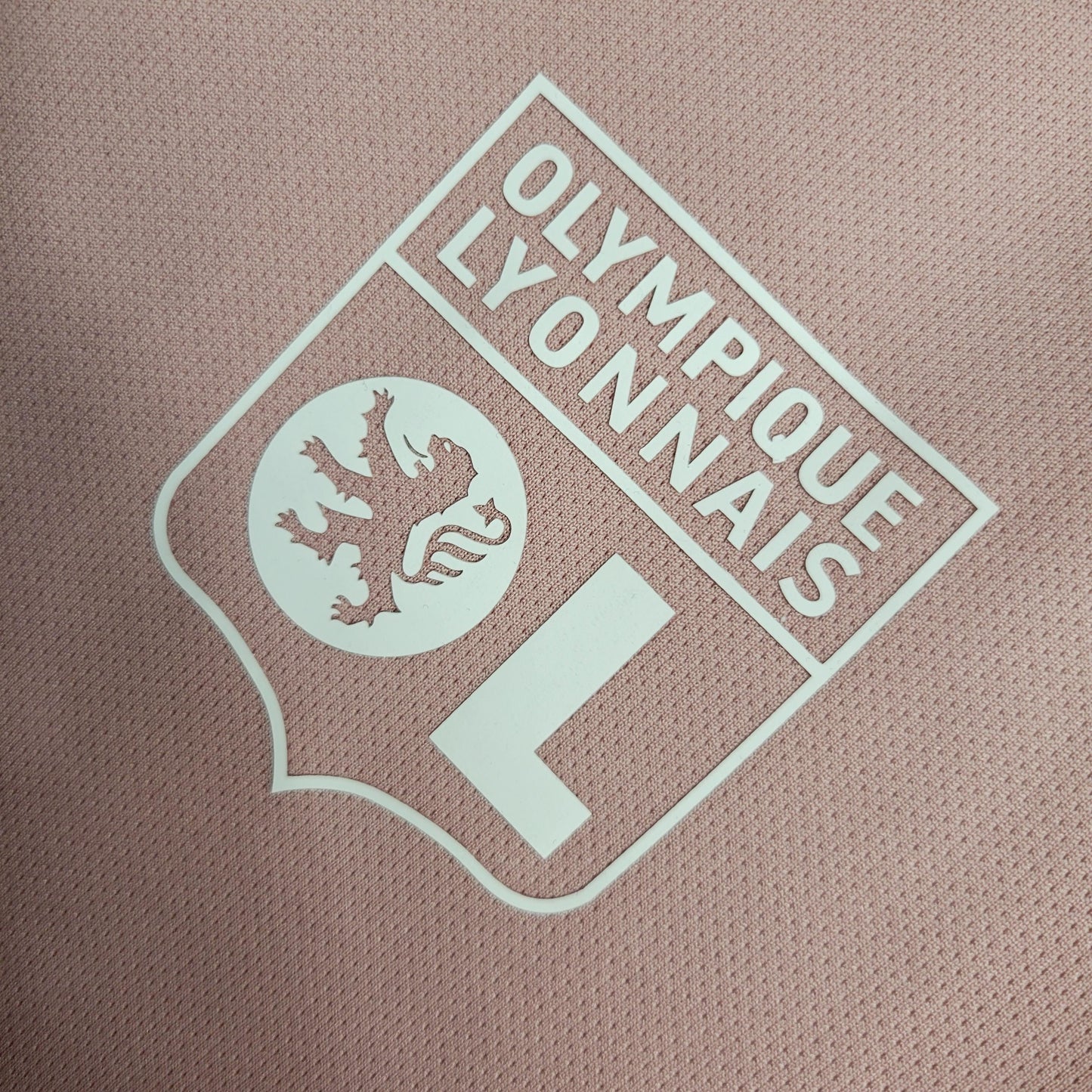 Camisa Lyon 2023/24 Treino